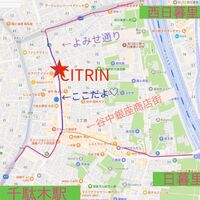 ブログ画像