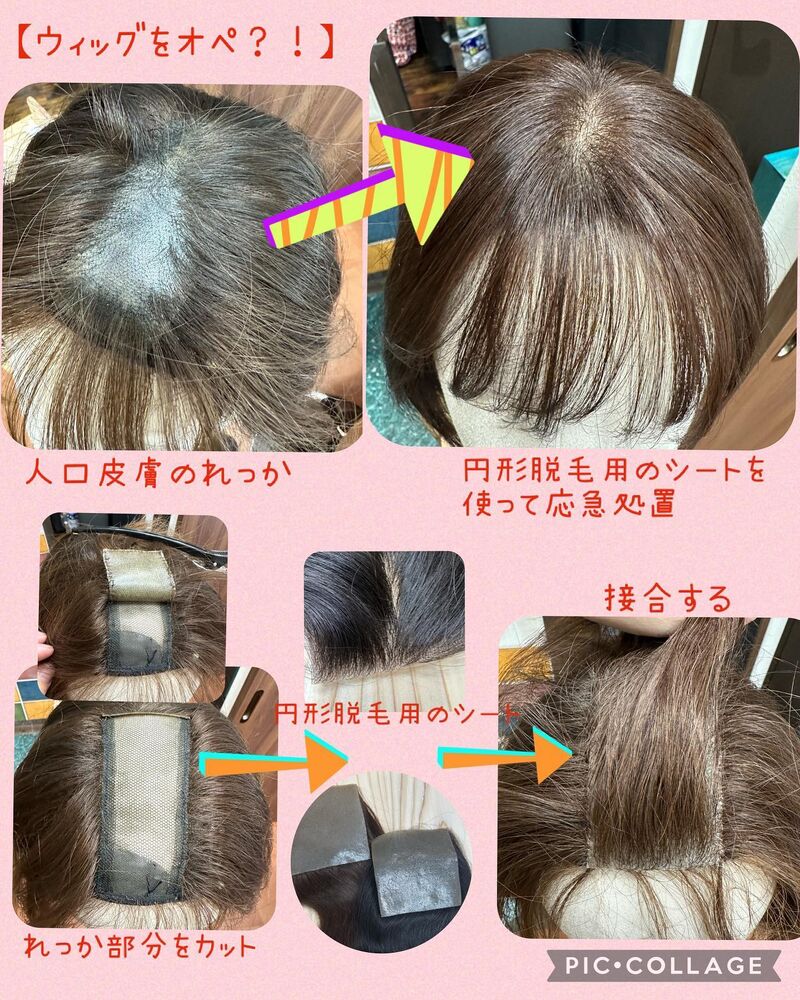 ブログ画像