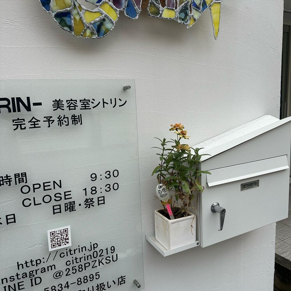 ブログ画像