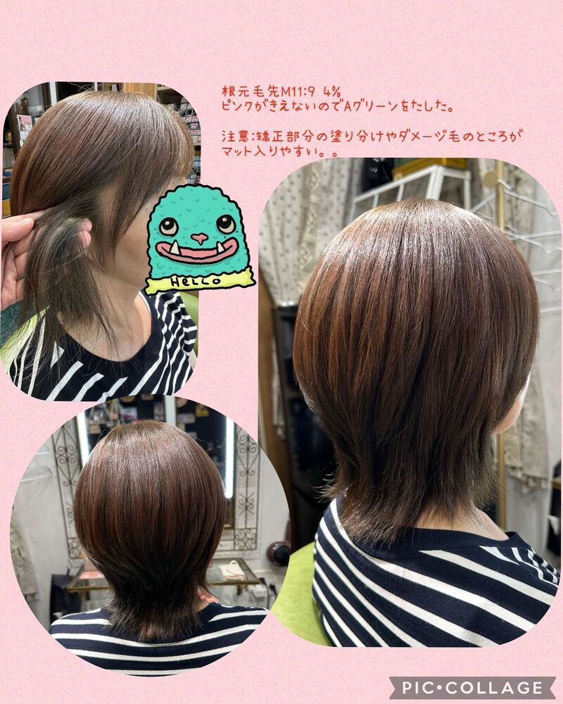 ブログ画像