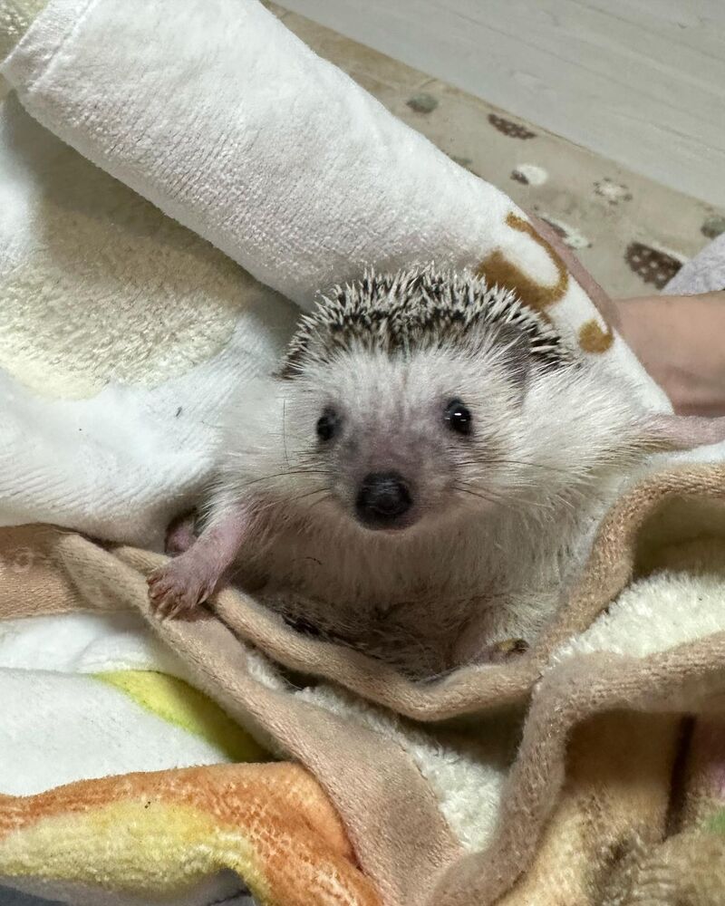 ブログ画像