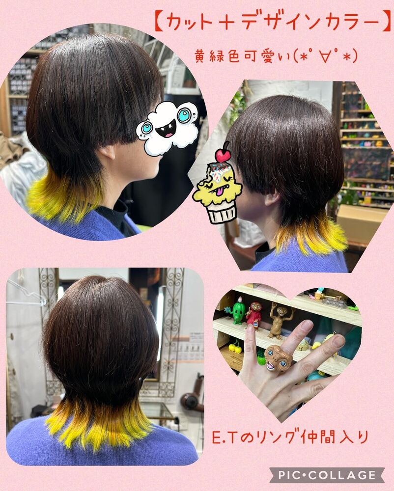 ブログ画像