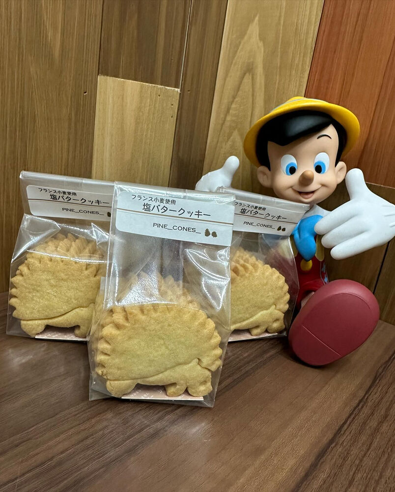 ブログ画像