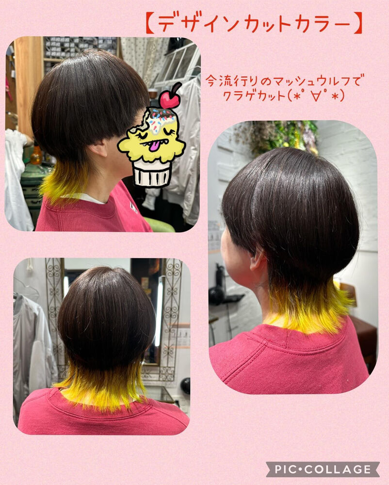 ブログ画像