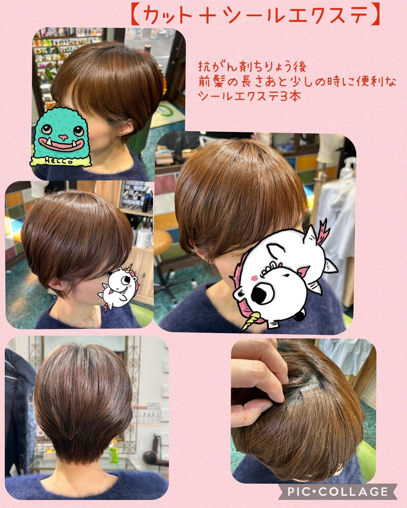 ブログ画像