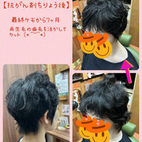 ブログ画像