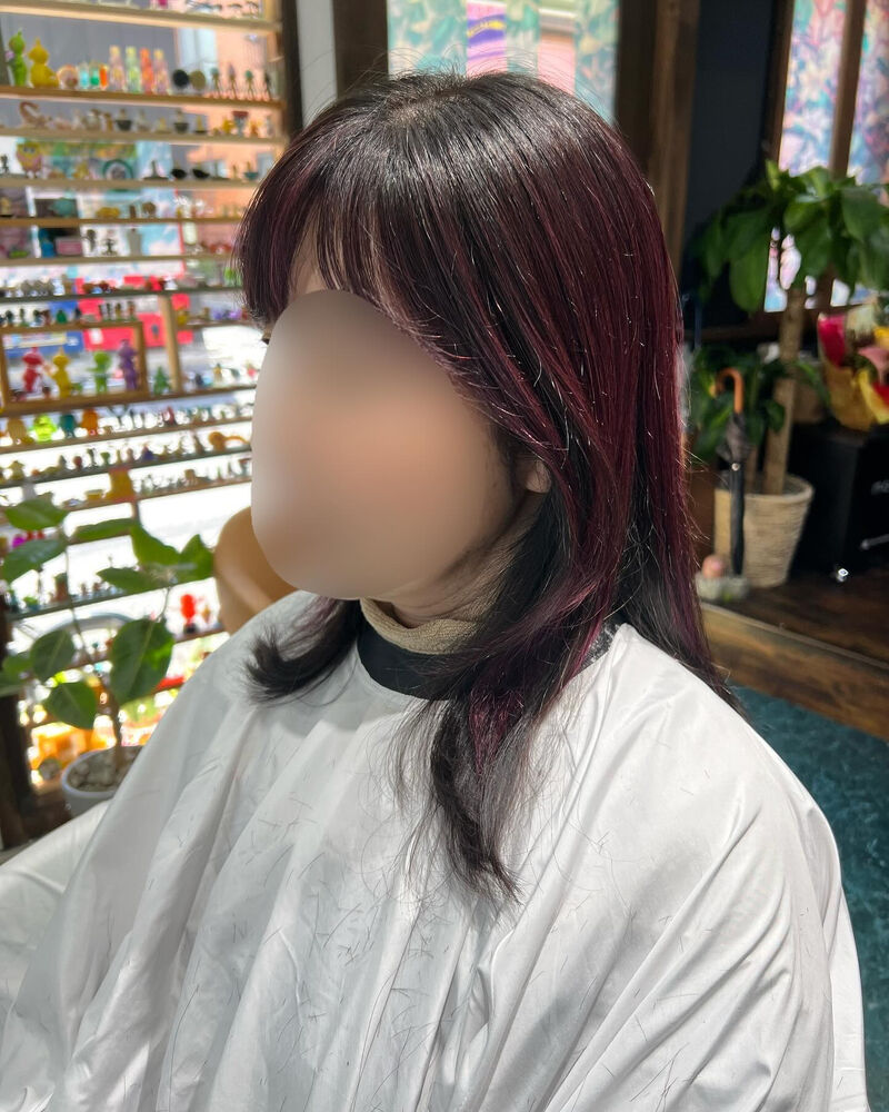 ブログ画像